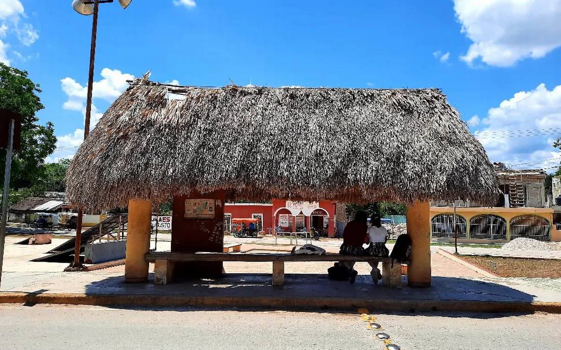 Palapa como parada de autobús? Así son los paraderos en Mérida - El Heraldo  de Chiapas | Noticias Locales, Policiacas, sobre México, Chiapas y el Mundo