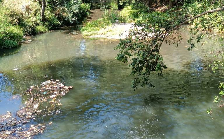 Ríos de San Cristóbal contaminados y llenos de basura - El Heraldo de  Chiapas | Noticias Locales, Policiacas, sobre México, Chiapas y el Mundo