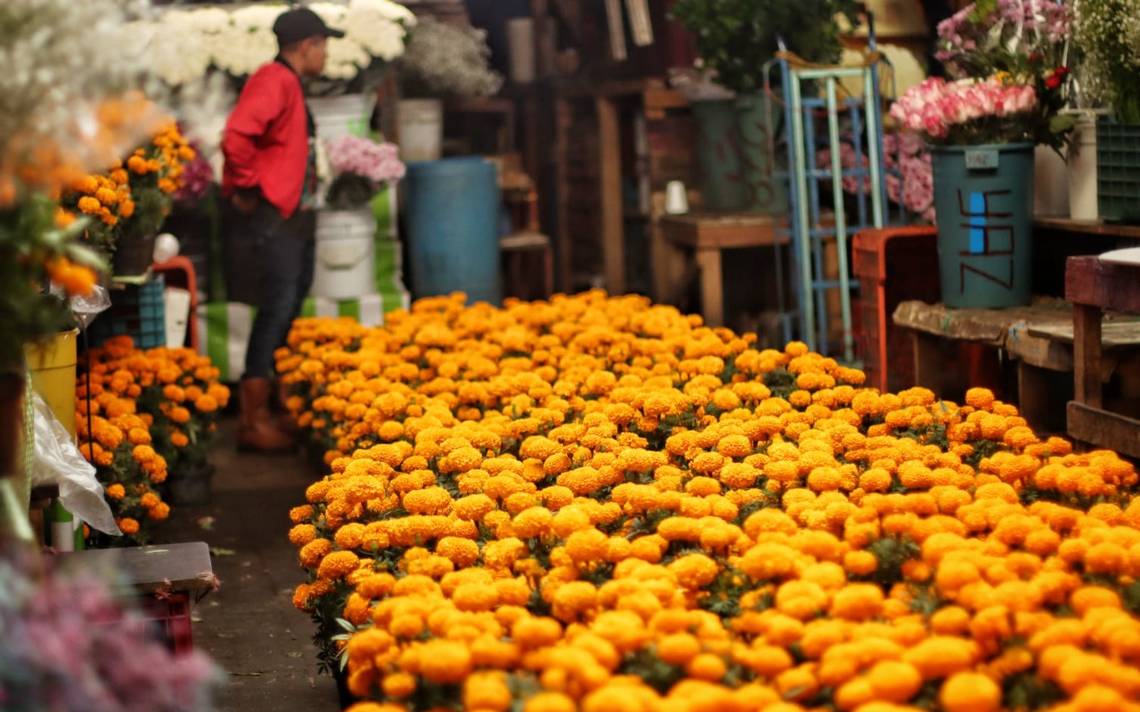 Previo al Día de Muertos flor de cempasúchil y rosas aumentan precios - El  Heraldo de Chiapas | Noticias Locales, Policiacas, sobre México, Chiapas y  el Mundo