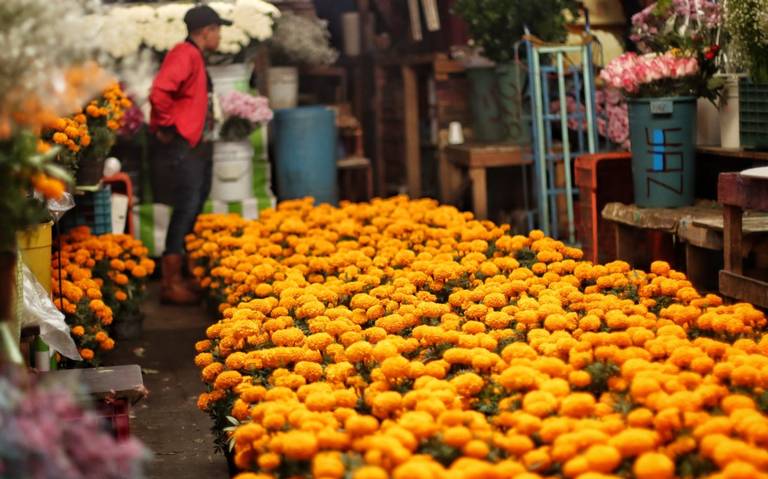 Previo al Día de Muertos flor de cempasúchil y rosas aumentan precios - El  Heraldo de Chiapas | Noticias Locales, Policiacas, sobre México, Chiapas y  el Mundo