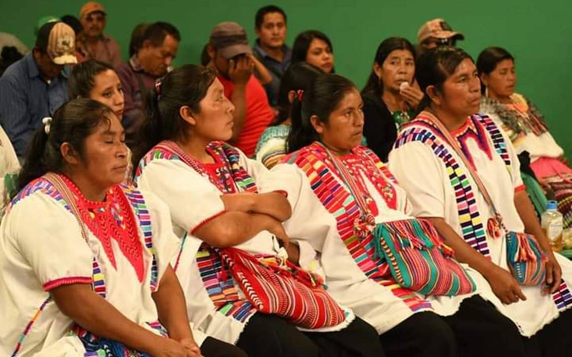 Representation of women and indigenous peoples, the great pending: lawyer – Local News, Police, about Mexico and the World