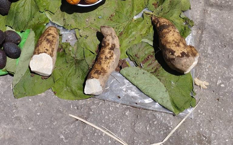 san cristóbal comida típica en semana santa - El Heraldo de Chiapas |  Noticias Locales, Policiacas, sobre México, Chiapas y el Mundo