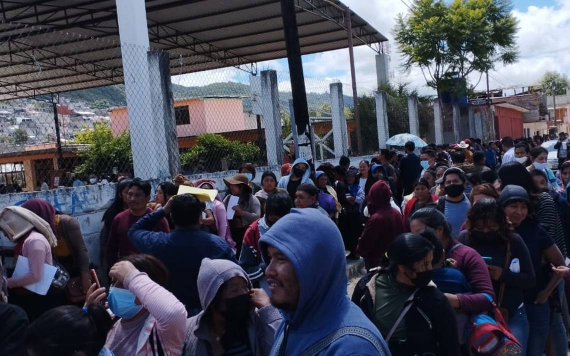 Eligen consejeros estatales de Morena en San Cristóbal - El Heraldo de  Chiapas | Noticias Locales, Policiacas, sobre México, Chiapas y el Mundo