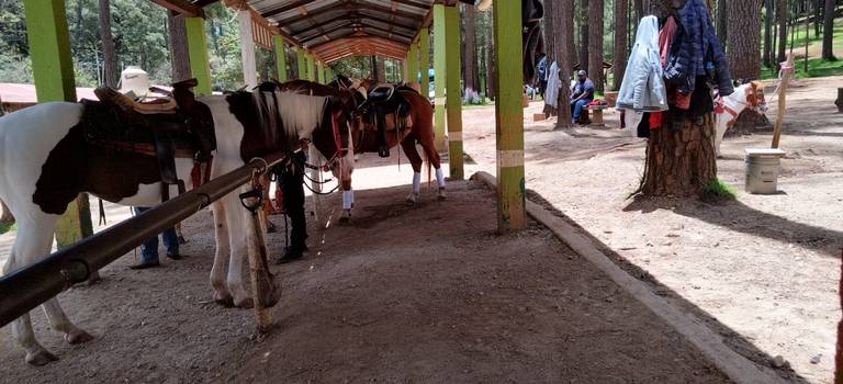 Grutas de Rancho nuevo de San Cristóbal, conoce precios y actividades - El  Heraldo de Chiapas | Noticias Locales, Policiacas, sobre México, Chiapas y  el Mundo