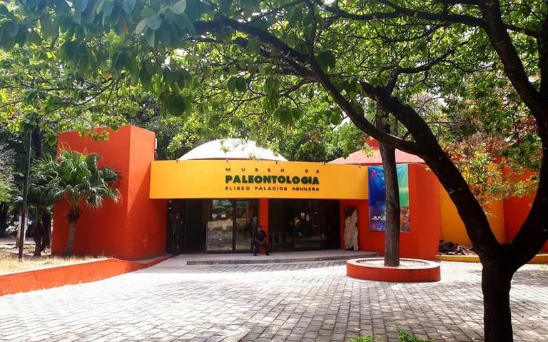 Anuncian “Farmacia Viva” en el museo botánico de Tuxtla Gutiérrez - El  Heraldo de Chiapas | Noticias Locales, Policiacas, sobre México, Chiapas y  el Mundo