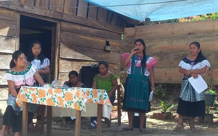 Denuncian deterioro ambiental de San Cristóbal en encuentro de mujeres - El  Heraldo de Chiapas | Noticias Locales, Policiacas, sobre México, Chiapas y  el Mundo