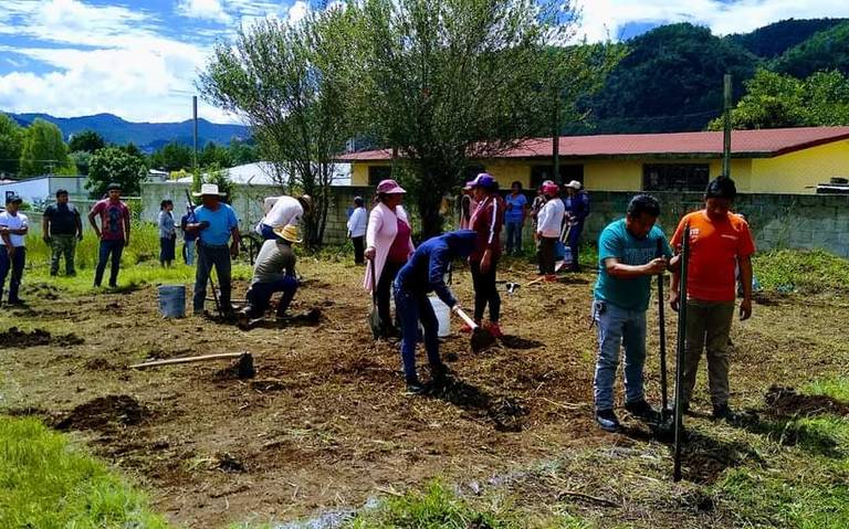 Parque Natural Encuentro, será reforestado por ambientalistas - El Heraldo  de Chiapas | Noticias Locales, Policiacas, sobre México, Chiapas y el Mundo